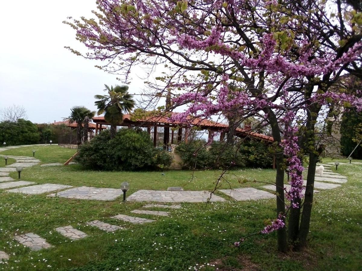 לפטוקריה Villa Anna מראה חיצוני תמונה